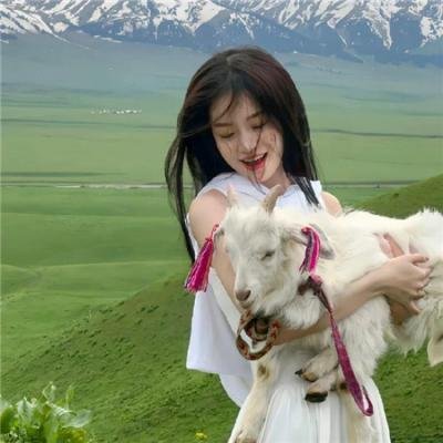 疯狂的契约